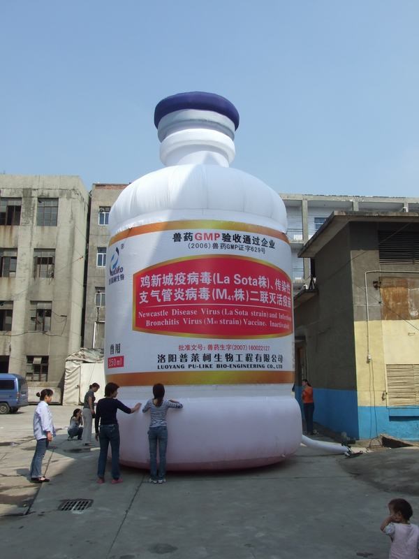 庐江广告宣传气模